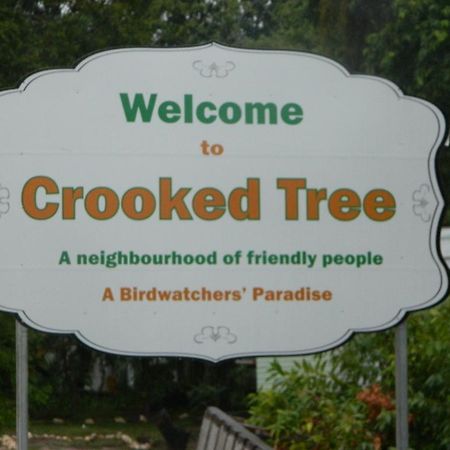 Becks Bed & Breakfast Crooked Tree Exterior foto