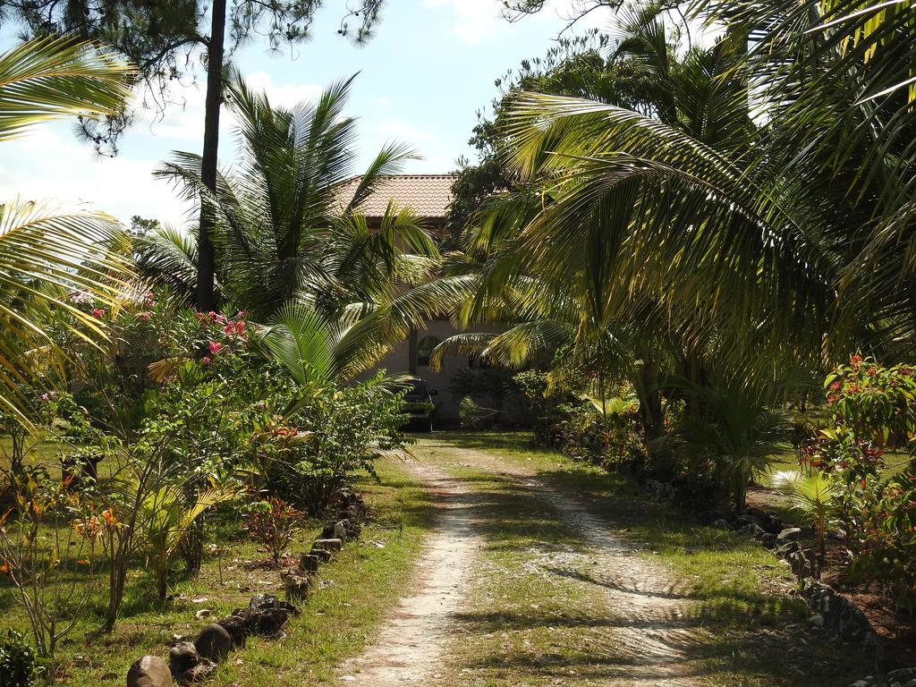 Becks Bed & Breakfast Crooked Tree Exterior foto