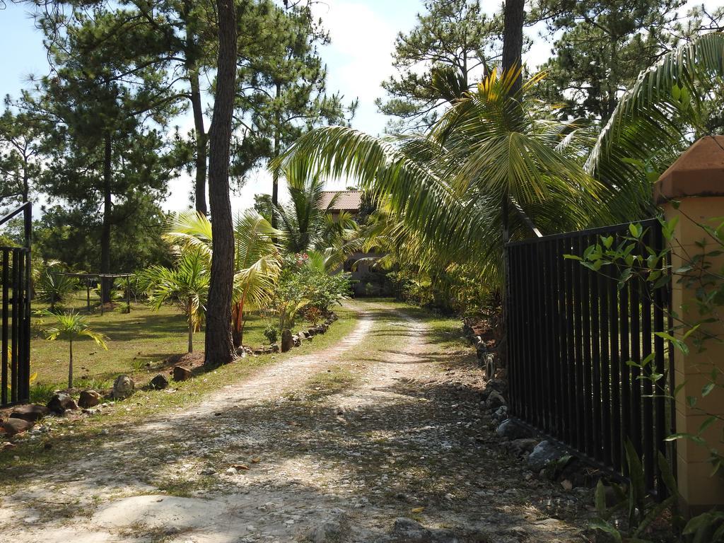 Becks Bed & Breakfast Crooked Tree Exterior foto