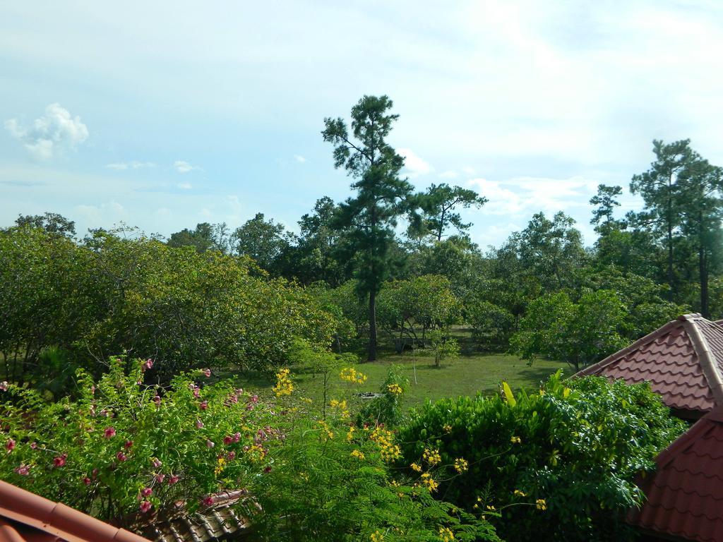 Becks Bed & Breakfast Crooked Tree Exterior foto